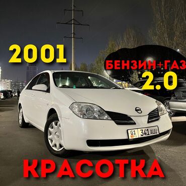 жабры на капот: Nissan Primera: 2001 г., 2 л, Вариатор, Газ, Седан