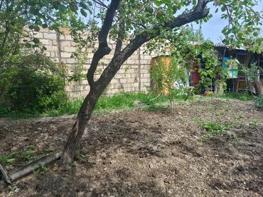 Həyət darvazaları: RT Arxasında körpüdən sağda 2 ci küçədə 2 mərtəbəli 8 otaqlı həyət evi -da lalafo.az — 42 Həyət darvazaları: RT Arxasında körpüdən sağda 2 ci küçədə 2 mərtəbəli 8 otaqlı həyət evi — 42