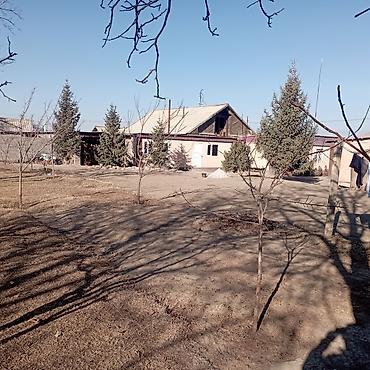 Продажа участков: 25 соток — 9