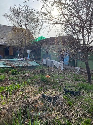 Другие удобства для дома и сада: Другие удобства для дома и сада, Самовывоз — 10