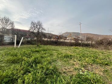 Torpaq sahələrinin satışı: 20 sot, Kupça (Çıxarış) — 8