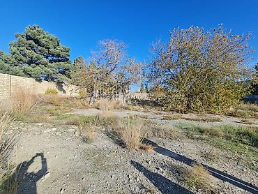 Torpaq sahələrinin satışı: 100 sot, Kupça (Çıxarış) -da lalafo.az — 10 Torpaq sahələrinin satışı: 100 sot, Kupça (Çıxarış) — 10