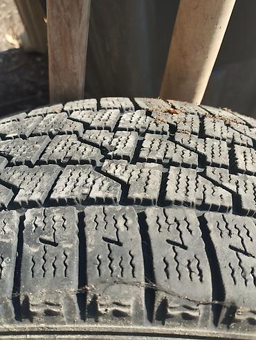 Зимние шины Roadstone Winguard WinSpike RW501 (без шипов) Комплект