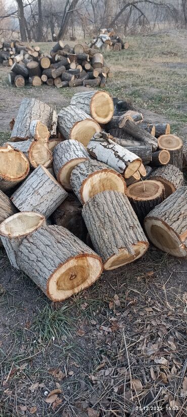 Дрова: Дрова Карагач, Самовывоз — 13