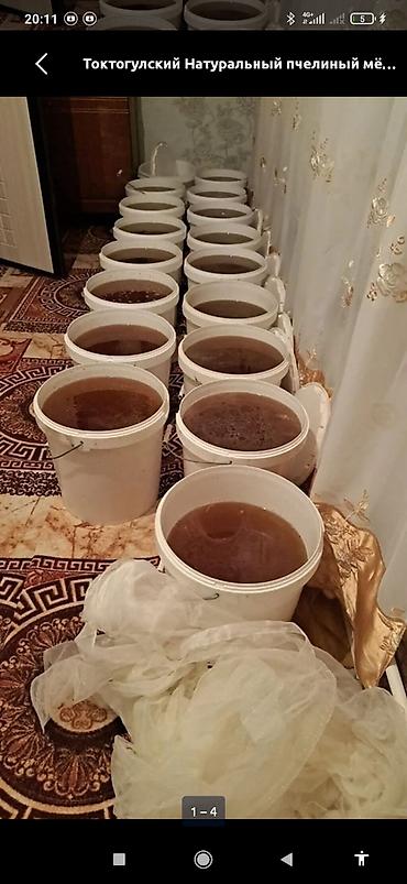 пчеловода: Токтогульский натуральный горный мёд Кг по 400с Доставка по городу — 1