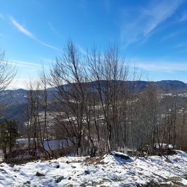 Torpaq sahələrinin satışı: 65 sot, Kənd təsərrüfatı, Mülkiyyətçi, Kupça (Çıxarış), Bələdiyyə — 8