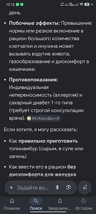 актриса картошка: Топинамбур (земляная груша), свежий урожай.Оптом 10 кг. Нижняя — 9