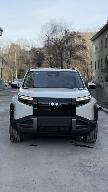 byd e1: BYD FangChengBao Leopard 3: 2026 г., Автомат, Электромобиль, Кроссовер — 3