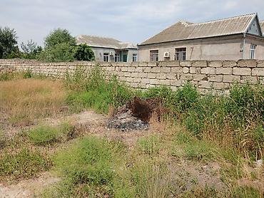 Torpaq sahələrinin satışı: 4 sot -da lalafo.az — 5 Torpaq sahələrinin satışı: 4 sot — 5