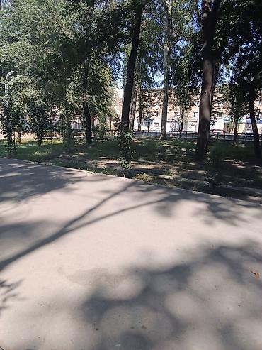 асфальта укладчик: Нужен человек для совместного проживания — 1