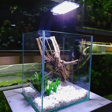 балык аквариум: Аквариумы с оформлением. 
есть варианты