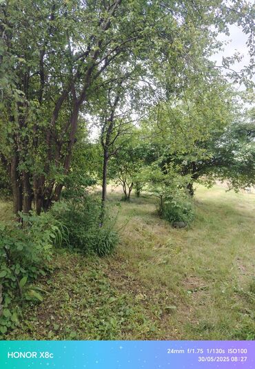 Torpaq sahələrinin satışı: 9 sot, Kənd təsərrüfatı, Barter mümkündür, Kupça (Çıxarış) — 8