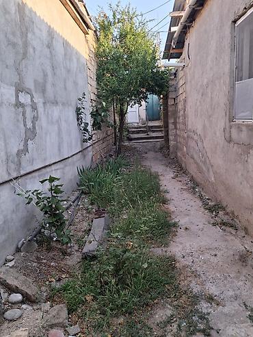 bina az 7 mkr satilan evler: Xırdalanda 2otaqlı 2.5 sot torpaqda ev satılır.meyve ağacları var — 4