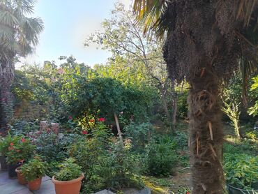 Həyət evləri və villaların satışı: 4 otaqlı, 111 kv. m, Kredit yoxdur, Orta təmir — 4