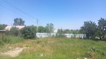 жарды суу: Курулуш, Кызыл китеп
