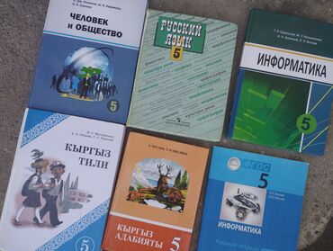 допризывная подготовка молодежи кыргызстана книга: Другие учебники