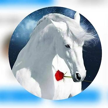 Декор жана интерьер: Настенный постер/картина с изображением белой лошади и розой - Яркий — 1