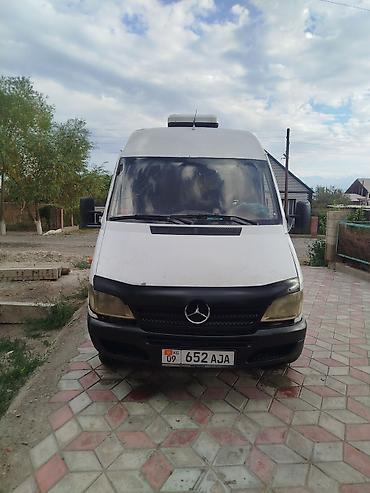 зад: Легкий грузовик, Mercedes-Benz, Стандарт, 3 т, Б/у — 6