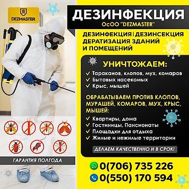 Клининг кызматтары: Дезинфекциялоо, дезинсекциялоо, | Бүргөлөр, Вирустар, микробдор, Канталалар, | Үйлөр, Кафелер, дүкөндөр, Батирлер — 4