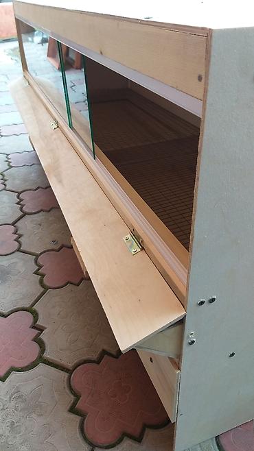 Товары и оборудование для с/х животных: Брудеры для цыплят. КЛЕТКА для цыплят. Цена 4800 сом. Размеры. длина — 8