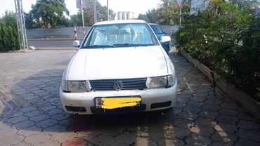 меняю r16 на r15: Toyota Camry: 1999 г., 1.4 л, Механика, Бензин, Универсал