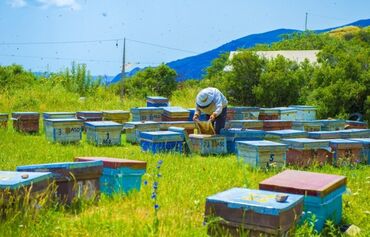 Kommersiya daşınmaz əmlakının satışı: Xızı rayonu Altağac qəsəbəsində dağların arasında Çəkil çayının