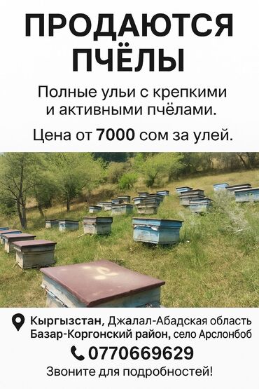 авто по следующим вкупом: Другой транспорт