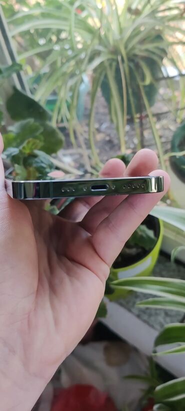 Apple iPhone: Apple iPhone iPhone 13 Pro, Alpine Green, Face ID — 9