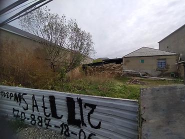 Torpaq sahələrinin satışı: Tikinti -da lalafo.az — 3 Torpaq sahələrinin satışı: Tikinti — 3