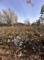 Продажа домов: Дом, 80 м², 3 комнаты, Агентство недвижимости, Косметический ремонт — 6