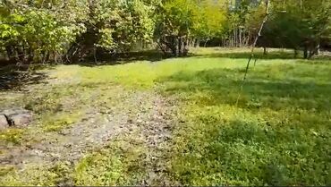 Torpaq sahələrinin satışı: 85 sot, Kənd təsərrüfatı, Mülkiyyətçi, Kupça (Çıxarış) -da lalafo.az — 10 Torpaq sahələrinin satışı: 85 sot, Kənd təsərrüfatı, Mülkiyyətçi, Kupça (Çıxarış) — 10