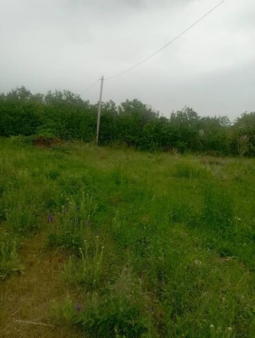 Продажа участков: 13 соток, Договор купли-продажи