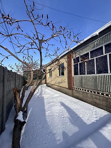 Sale of cottages and houses: Продается участок с домом в с.Ленинское Район: Ленинское село at lalafo.kg — 3 Sale of cottages and houses: Продается участок с домом в с.Ленинское Район: Ленинское село — 3