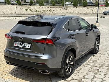 машиа: Lexus NX: 2019 г., 2 л, Автомат, Бензин, Кроссовер — 8