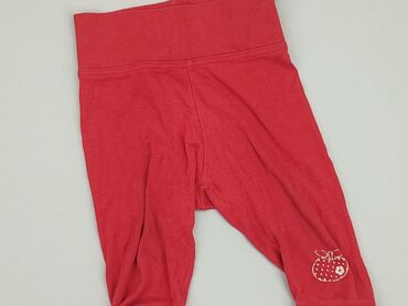 sinsay sukienki czerwone: Sweatpants, 0-3 months, condition - Good