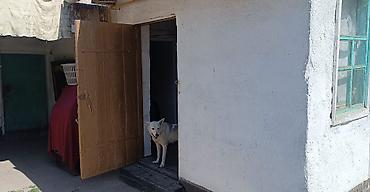 дома сосновка: ПРОДАЮ ДОМ !!! Район: Новопавловка. Улица: Комсомольская 139. 8,4 — 9