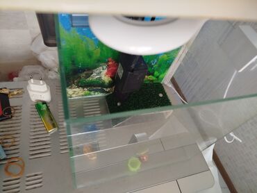 Akvariumlar: Dördbucaq akvarium, Boş, 16 l