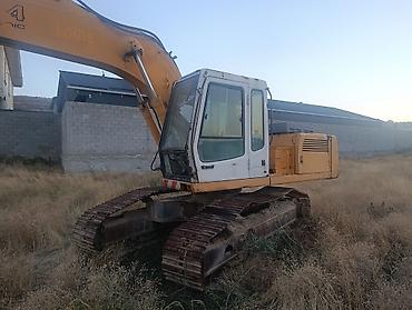 Экскаваторы: Экскаватор, Liebherr, 2003 г., Гусеничный — 2