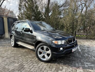 зимняя резина r19: BMW X5: 2004 г., 4.8 л, Автомат, Бензин, Кроссовер