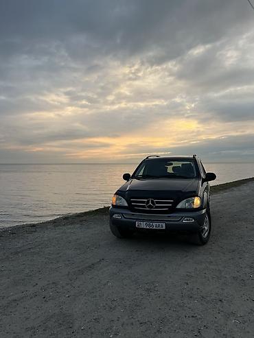 w163: Mercedes-Benz ML-Class: 1999 г., 3.2 л, Автомат, Бензин, Внедорожник — 3