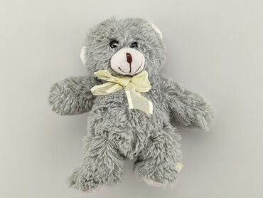 rajstopy gatta pl: Mascot Teddy bear, condition - Fair