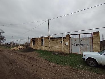 sabunçu kiraye heyet evleri: 1 otaqlı, 8 kv. m, Kredit yoxdur, Orta təmir — 5