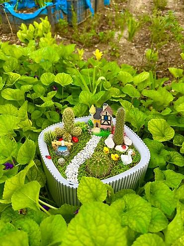 en gozel dibcek gulleri: Mini bağ kompozisiyası – sukulent/kaktus terrariumu - Üçbucağa yaxın — 2