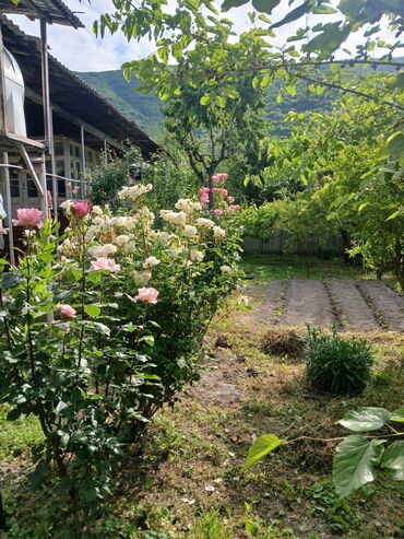 Həyət evləri və villaların satışı: 3 otaqlı, 120 kv. m, Kredit yoxdur, Orta təmir — 7