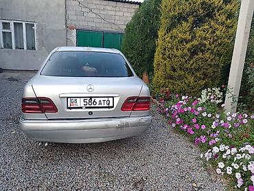 хром калпак спринтер: Mercedes-Benz E-Class: 1996 г., 3.2 л, Автомат, Газ, Седан — 4