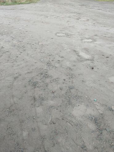 бишкек продаю дом село дордой 2: 5 соток, Красная книга