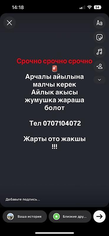 кун трактора: Требуется Пастух, Оплата: Сдельная — 1