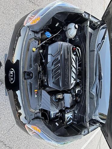 Kia: Kia Sportage: 2019 г., 2 л, Дизель — 28