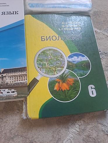 Учебники: Комплект школьных учебников для 6 класса (Кыргызстан) В набор входят — 2