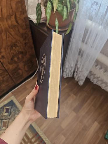 Спорт жана хобби: «Мельницы богов» и «Гнев ангелов» — это не просто культовые — 5